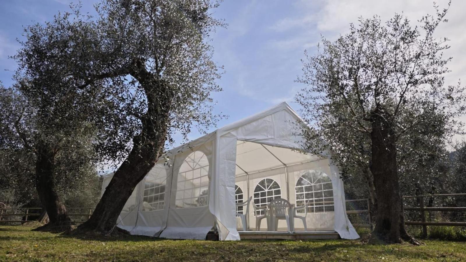 Appartamento Alba Dachi Farm Marina dʼMarina dʼAndora Exterior foto