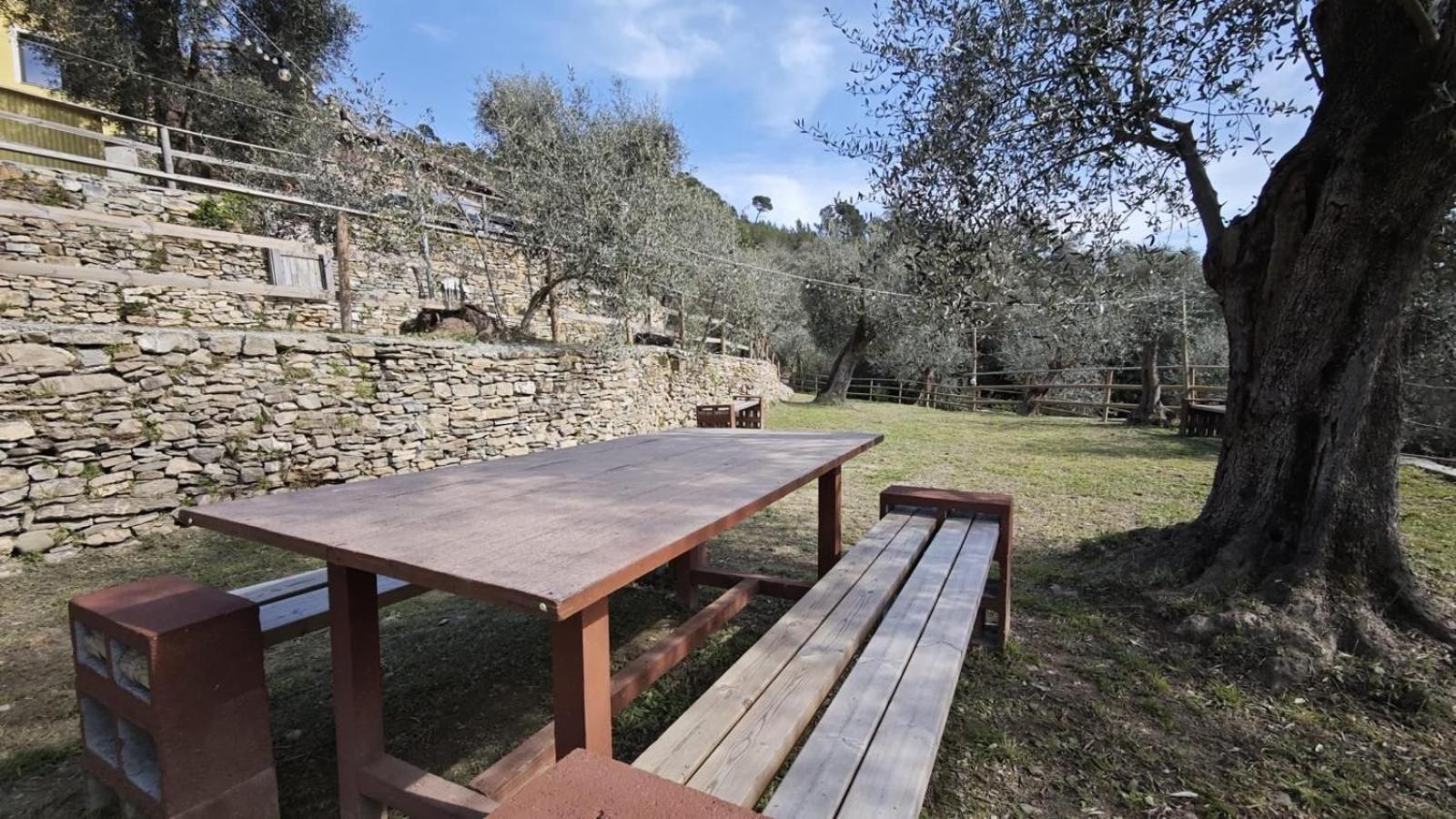Appartamento Alba Dachi Farm Marina dʼMarina dʼAndora Exterior foto